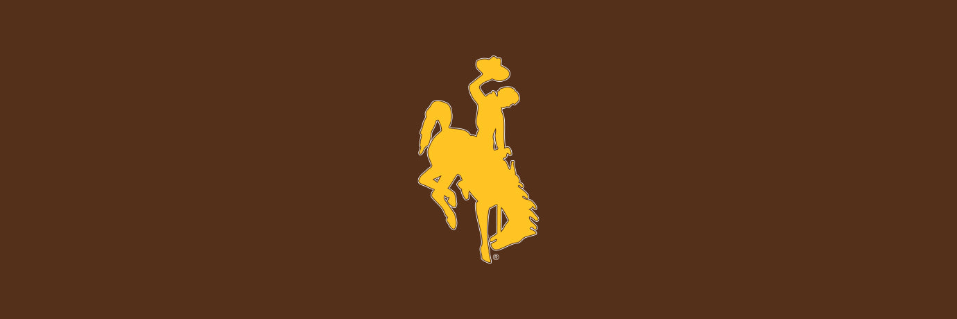 Shop Wyoming Cowboys Collection