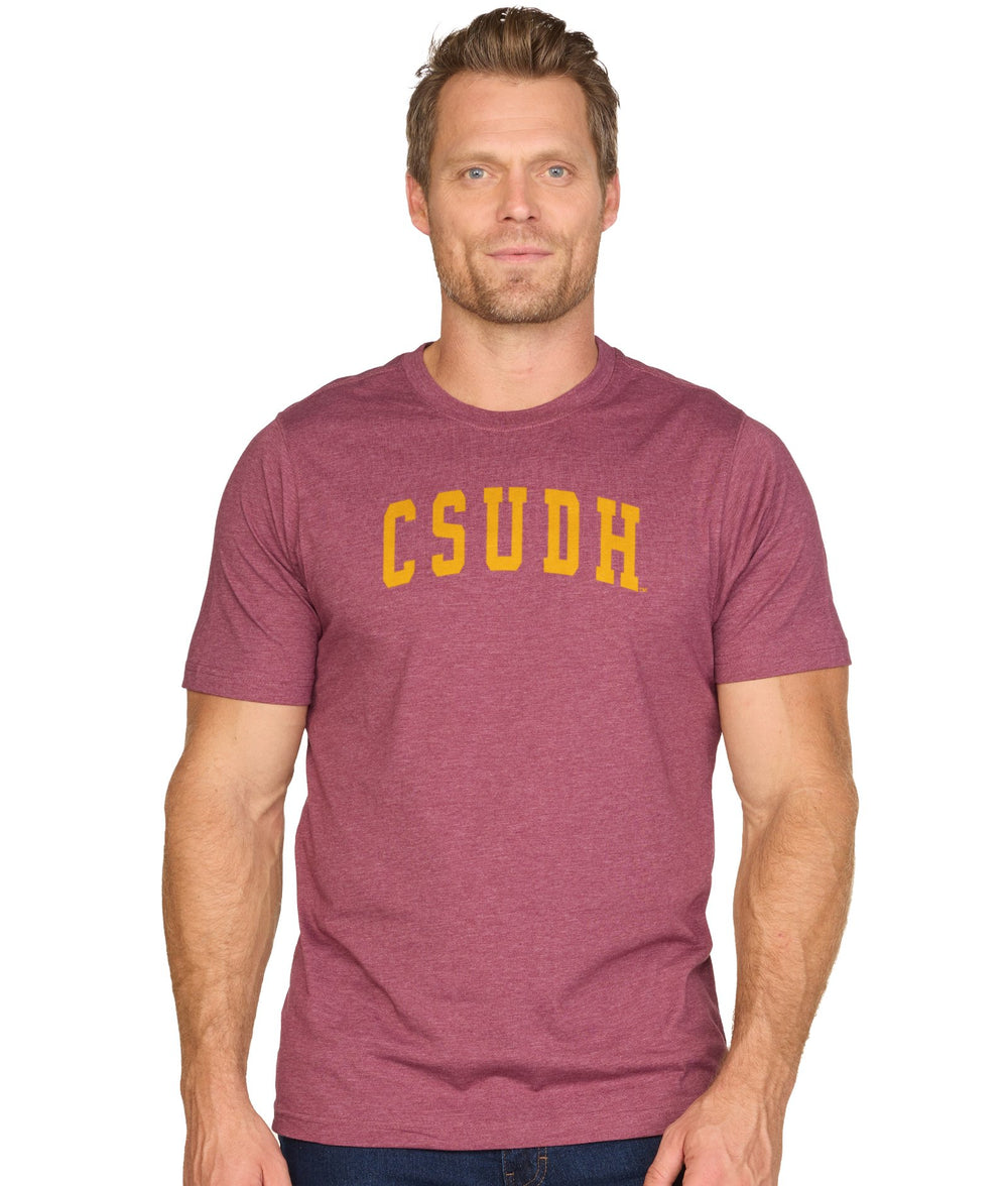 Men's Maroon Cal State Dominguez Hills Toros Wordmark Playbook Short Sleeve Tee