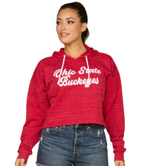 Women's Ohio State Buckeyes American Dream Fleece Hoodie