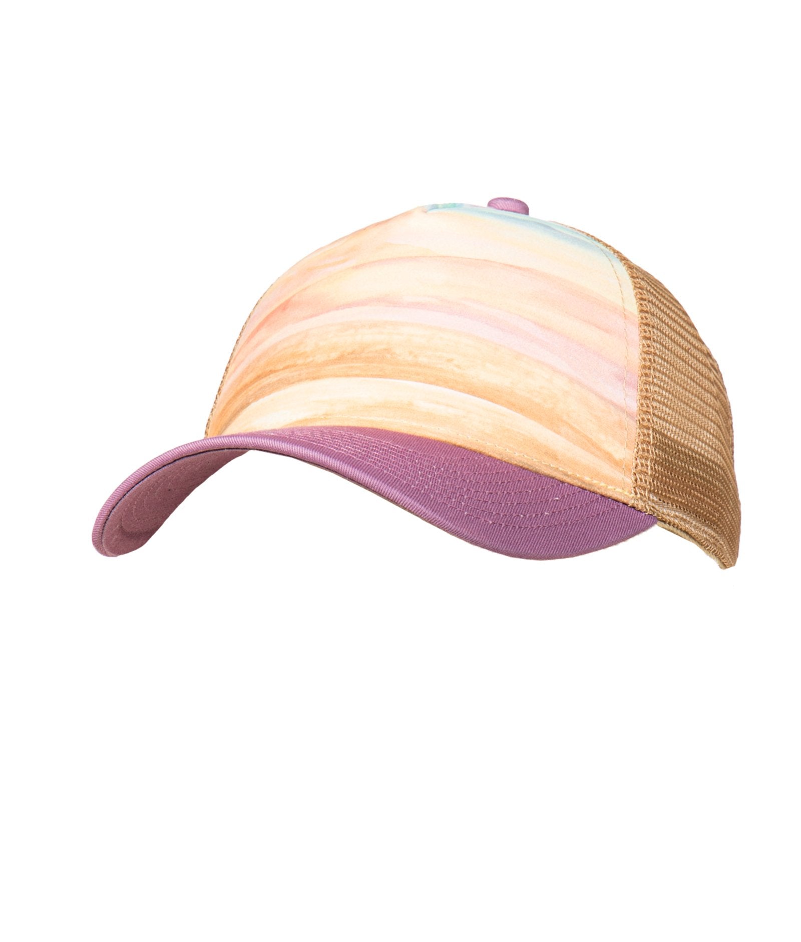 Scenic Desert Snapback Hat