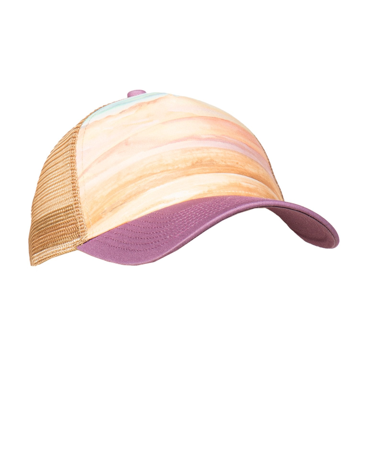 Scenic Desert Snapback Hat