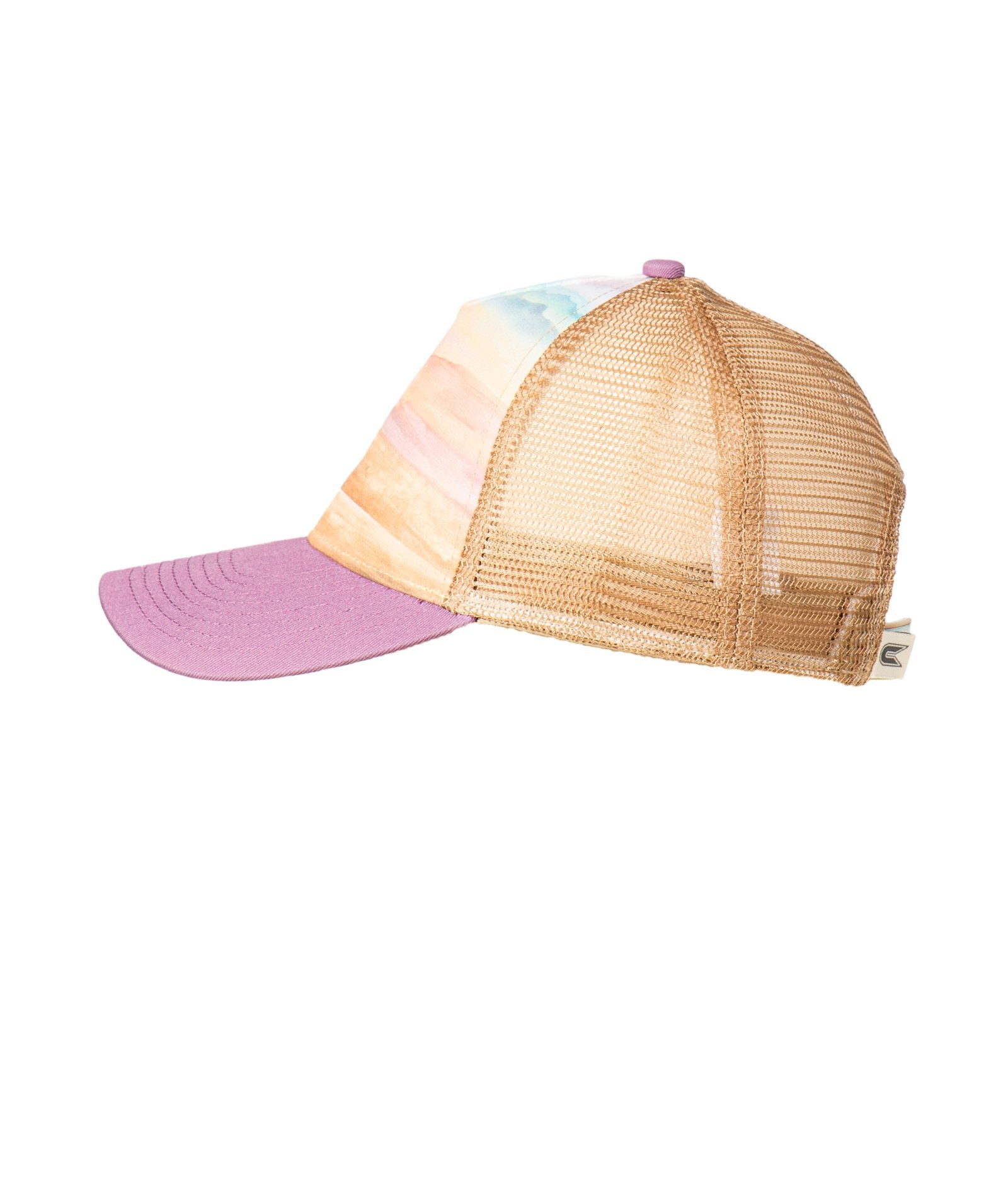 Scenic Desert Snapback Hat