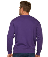 Men's Washington Huskies Homecoming Fleece Crew